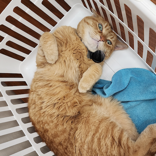 Caramel